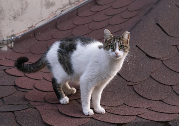 How do environmental policies affect UK real estate financing?